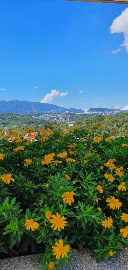 Jcga Apartments At Bristle Ridge Condominium Near Botanical Garden And The Mansion バギオ エクステリア 写真